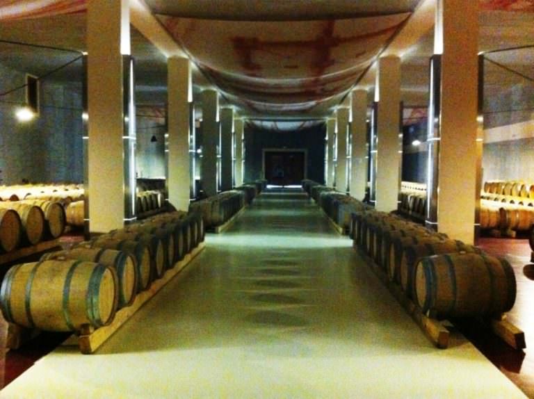 Visite a cantine panoramiche con degustazione