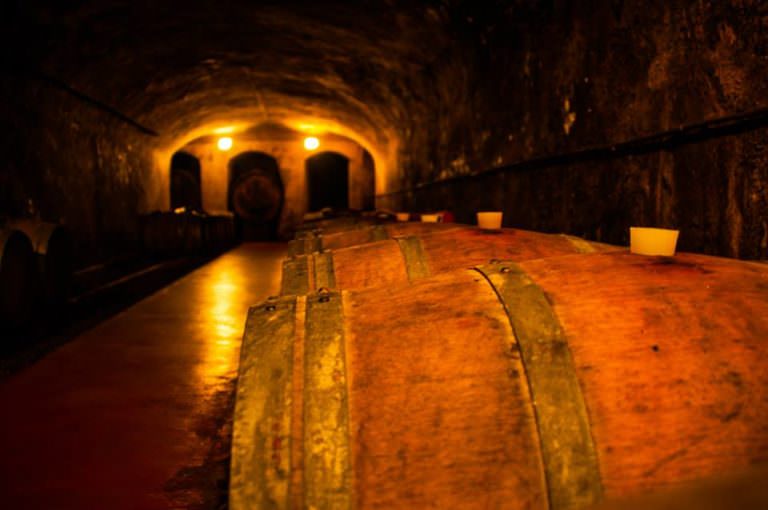 Il vino più storico delle colline pisane