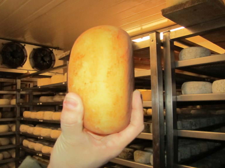 Ottimo pecorino toscano