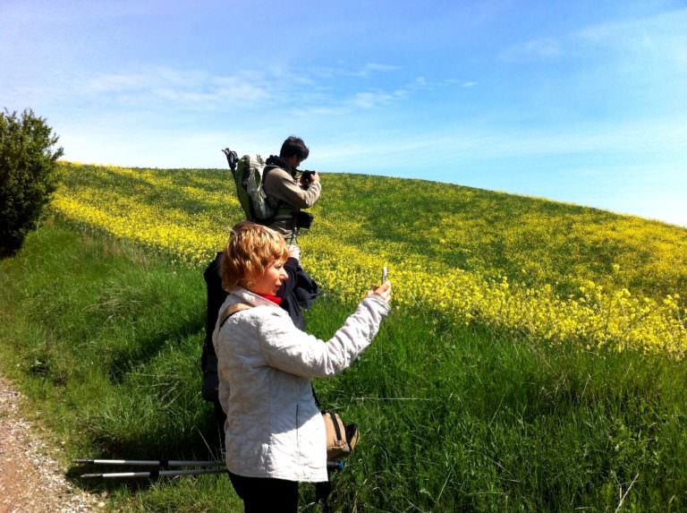 Colline per trekking in Toscana