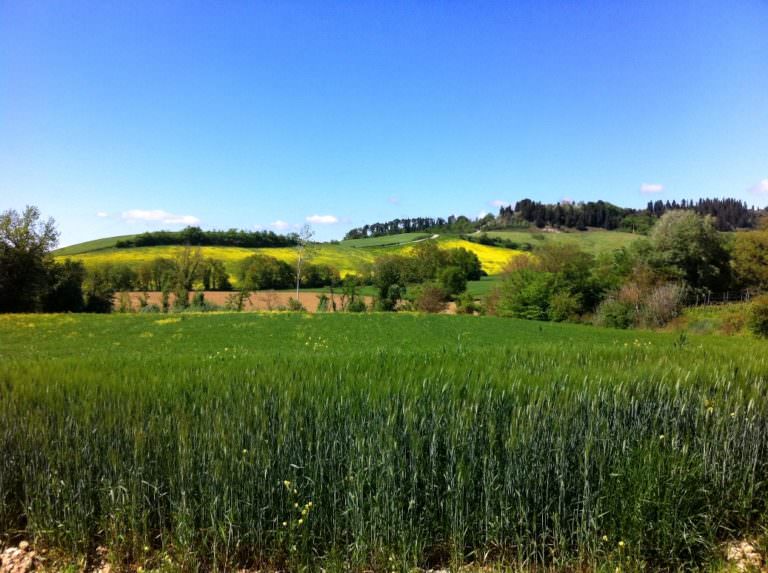 Camminare in Toscana