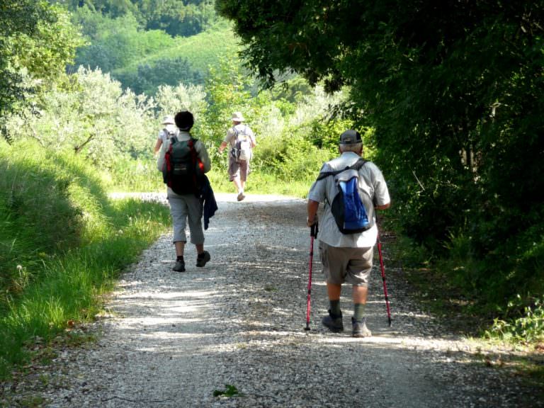 Camminate organizzate in Toscana