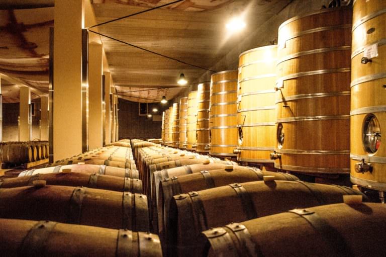 Visite alle cantine di Terre di Pisa