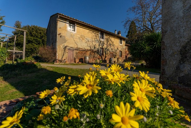 La fattoria di Rita